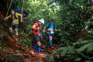 BIB: 
                            <button type="button" onclick="openModal(24858720)" class="btn btn-primary btn-sm float-right btn-popup" data-toggle="modal" data-target=".modal-high-quality">
                        <i class="fas fa-shopping-cart"></i> Add to Cart
                    </button>
                                            <button type="button" onclick="isThisMe(24858720, true)" class="btn btn-success btn-sm float-right btn-popup btn-isme hidden" data-toggle="tooltip" data-placement="bottom" title="นี่คือรูปของคุณใช่ไหม คลิกที่นี่เพื่อเอาเข้าอัลบั้ม">
                        <i class="fas fa-plus"></i> Add to album
                    </button>
                    <button type="button" onclick="isThisMe(24858720, false)" class="btn btn-warning btn-sm float-right btn-popup btn-isnotme hidden">
                        <i class="fas fa-ban"></i> Remove from album
                    </button>